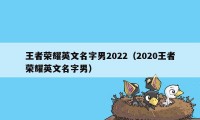 王者荣耀英文名字男2022（2020王者荣耀英文名字男）