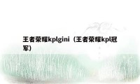 王者荣耀kplgini（王者荣耀kpl冠军）