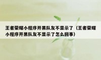 王者荣耀小程序开黑队友不显示了（王者荣耀小程序开黑队友不显示了怎么回事）