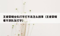 王者荣耀全队打字打不出怎么回事（王者荣耀看不到队友打字）