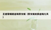 王者荣耀就返场蔡文姬（蔡文姬皮肤返场几天）