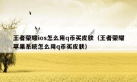 王者荣耀ios怎么用q币买皮肤（王者荣耀苹果系统怎么用q币买皮肤）