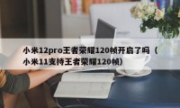 小米12pro王者荣耀120帧开启了吗（小米11支持王者荣耀120帧）