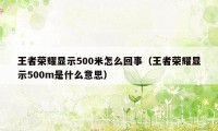 王者荣耀显示500米怎么回事（王者荣耀显示500m是什么意思）