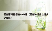 王者荣耀孙悟空60攻速（王者孙悟空攻速多少合适）