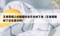 王者荣耀上的国服标会不会掉下来（王者国服掉了还会显示吗）