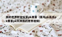 我的世界职业玩家pk黑客（菜鸟pk高手pk黑客pk大神我的世界视频）