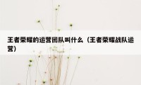 王者荣耀的运营团队叫什么（王者荣耀战队运营）