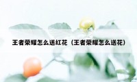 王者荣耀怎么送红花（王者荣耀怎么送花）