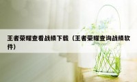 王者荣耀查看战绩下载（王者荣耀查询战绩软件）