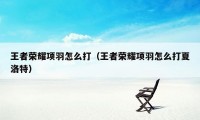 王者荣耀项羽怎么打（王者荣耀项羽怎么打夏洛特）