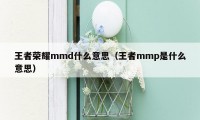 王者荣耀mmd什么意思（王者mmp是什么意思）