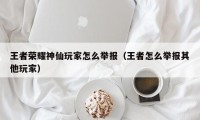 王者荣耀神仙玩家怎么举报（王者怎么举报其他玩家）