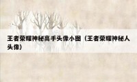 王者荣耀神秘高手头像小图（王者荣耀神秘人头像）