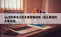 qq怎样看自己的王者荣耀战报（怎么看我的王者战报）