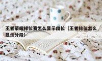 王者荣耀排位赛怎么显示段位（王者排位怎么显示分段）