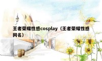 王者荣耀性感cosplay（王者荣耀性感网名）