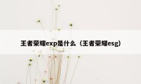 王者荣耀exp是什么（王者荣耀esg）