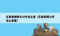 王者荣耀数字id号怎么查（王者荣耀id号怎么查看）