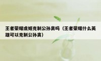 王者荣耀虞姬克制公孙离吗（王者荣耀什么英雄可以克制公孙离）