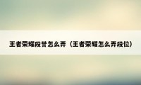 王者荣耀段誉怎么弄（王者荣耀怎么弄段位）