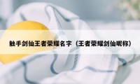 触手剑仙王者荣耀名字（王者荣耀剑仙昵称）