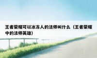 王者荣耀可以冰冻人的法师叫什么（王者荣耀中的法师英雄）