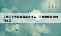 花木兰王者荣耀最早叫什么（王者荣耀最早的花木兰）