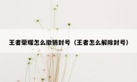 王者荣耀怎么撤销封号（王者怎么解除封号）