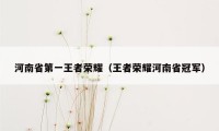 河南省第一王者荣耀（王者荣耀河南省冠军）