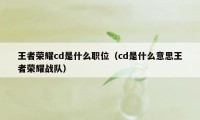 王者荣耀cd是什么职位（cd是什么意思王者荣耀战队）