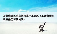 王者荣耀无响应关闭是什么意思（王者荣耀无响应是否将其关闭）