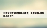 王者荣耀中的你是什么段位（王者荣耀,你是什么段位?）