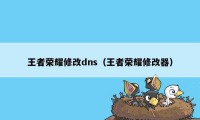 王者荣耀修改dns（王者荣耀修改器）