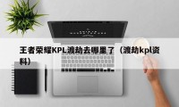 王者荣耀KPL渡劫去哪里了（渡劫kpl资料）