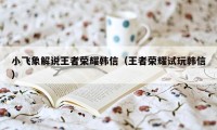 小飞象解说王者荣耀韩信（王者荣耀试玩韩信）