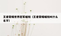 王者荣耀世界冠军暖阳（王者荣耀暖阳叫什么名字）