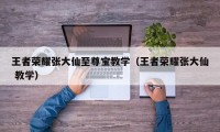 王者荣耀张大仙至尊宝教学（王者荣耀张大仙 教学）