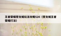 王者荣耀蔡文姬玩法攻略S26（蔡文姬王者荣耀打法）