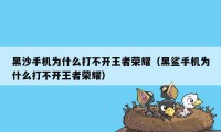 黑沙手机为什么打不开王者荣耀（黑鲨手机为什么打不开王者荣耀）