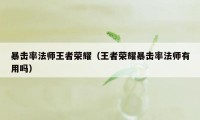 暴击率法师王者荣耀（王者荣耀暴击率法师有用吗）