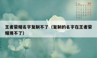 王者荣耀名字复制不了（复制的名字在王者荣耀用不了）