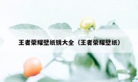 王者荣耀壁纸镜大全（王者荣耀壁纸）