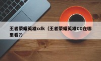 王者荣耀英雄cdk（王者荣耀英雄CD在哪里看?）