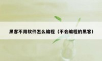 黑客不用软件怎么编程（不会编程的黑客）