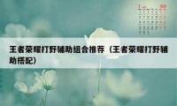 王者荣耀打野辅助组合推荐（王者荣耀打野辅助搭配）