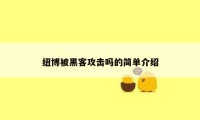 纽博被黑客攻击吗的简单介绍