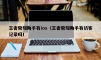 王者荣耀助手有ios（王者荣耀助手有访客记录吗）