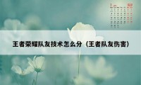 王者荣耀队友技术怎么分（王者队友伤害）