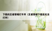 下载的王者荣耀打不开（王者荣耀下载后无法打开）